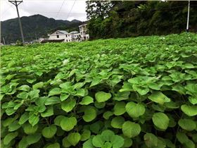 2019nianag旗舰平台尊龙官网