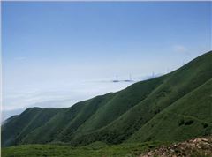 临武三十六湾风电场边坡绿化、生态恢复项目