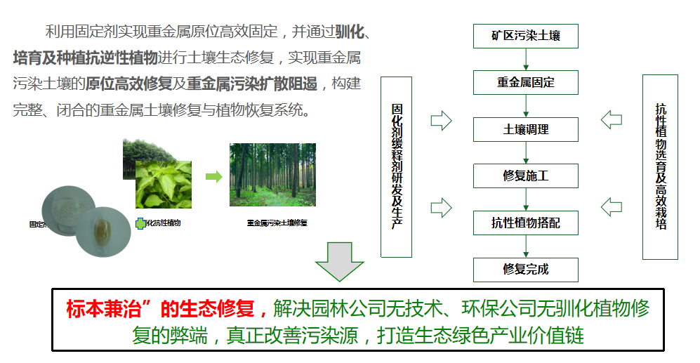 修复方案优势