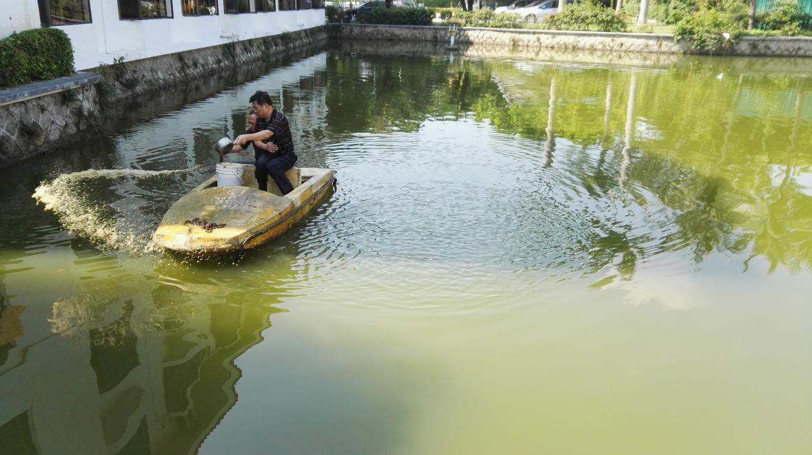 深圳市香密湖管理处内湖生态治理