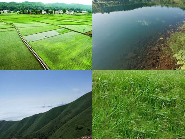 山水林田湖草生态修复