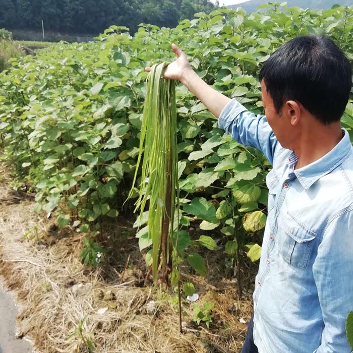 贵州省铜仁市生态修复与精准扶贫示范区